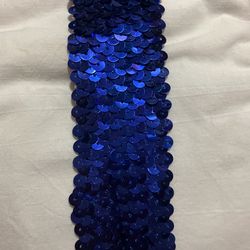 Metallic Stretch Trim
