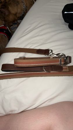 Large dog collar and leash brown leather