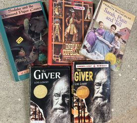 Bundle of classic chapter books