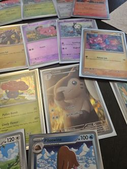 Pokémon holo lot