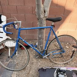 Univega Nuovo Touring Bike 