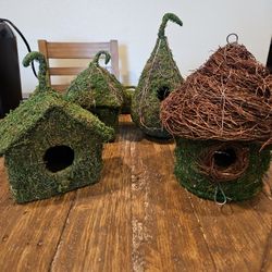 Moss Decoration