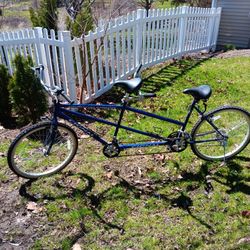 Tandem Adult Bike