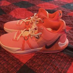 Nike Shoes 