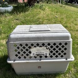 Big Dog Cage 