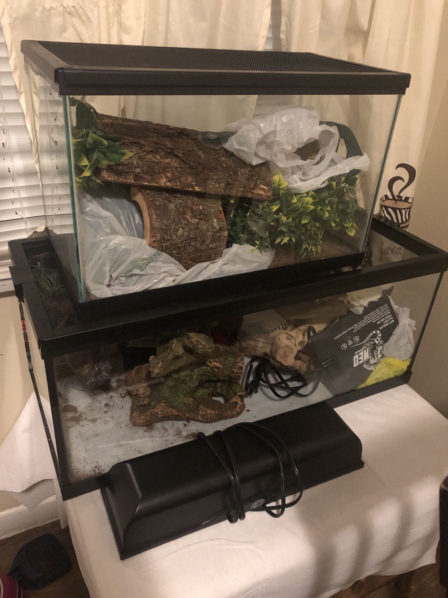 Reptile enclosure and decor