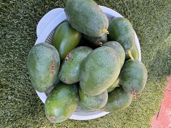 Organic Mexican avocados 🥑 2 for $1.40