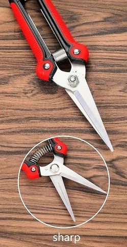 Garden Pruning Shears 


