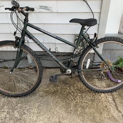 Road Master Bicycle 
