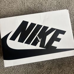 Nike 40th Anniversary Panda Dunks 10.5 Men