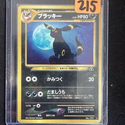 Umbreon Crossing The Ruins - Pokemon