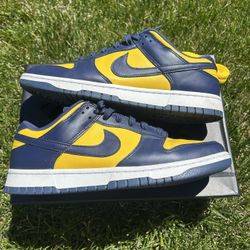 Michigan dunks size 10