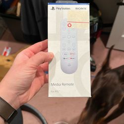 PlayStation Remote