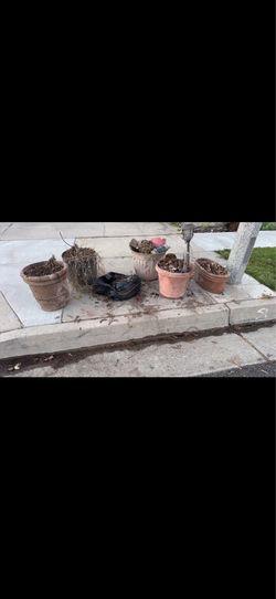 Free pots - this is what’s left b