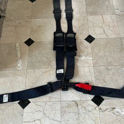 Five point harness for sale