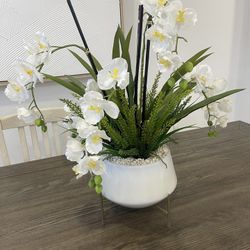 Orchid In Ceramic Pot 
