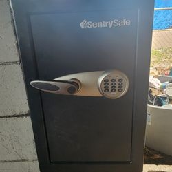 Digital SentrySafe