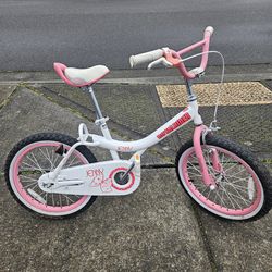 Kids Bike Jenny Royalbaby Rider 16", Hand And Foot Brakes, 3-9 Years, Very Good Condition
