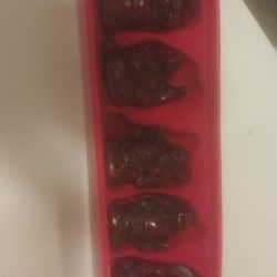 Little Buddaas Box New