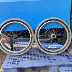 Gt mohawk wheels With New Tires