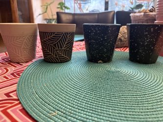 Flower Pots $3 Each
