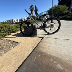 C100