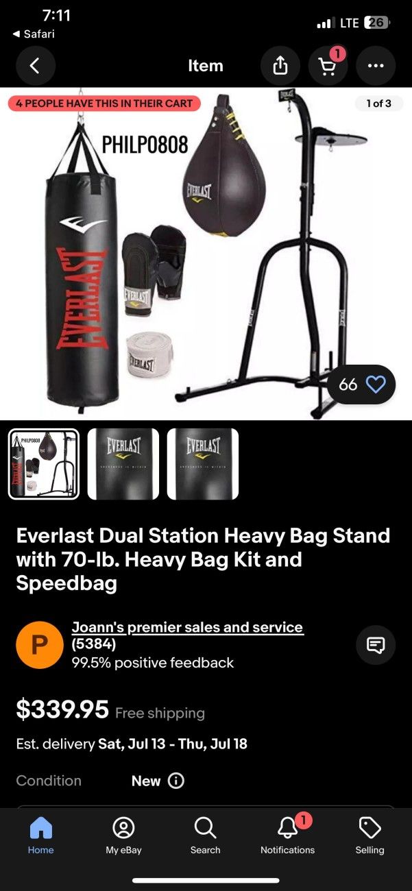 Everlast Dual Station Heavy Bag Stand And Speed Bag