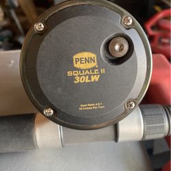 Penn Squall 2 30lw
