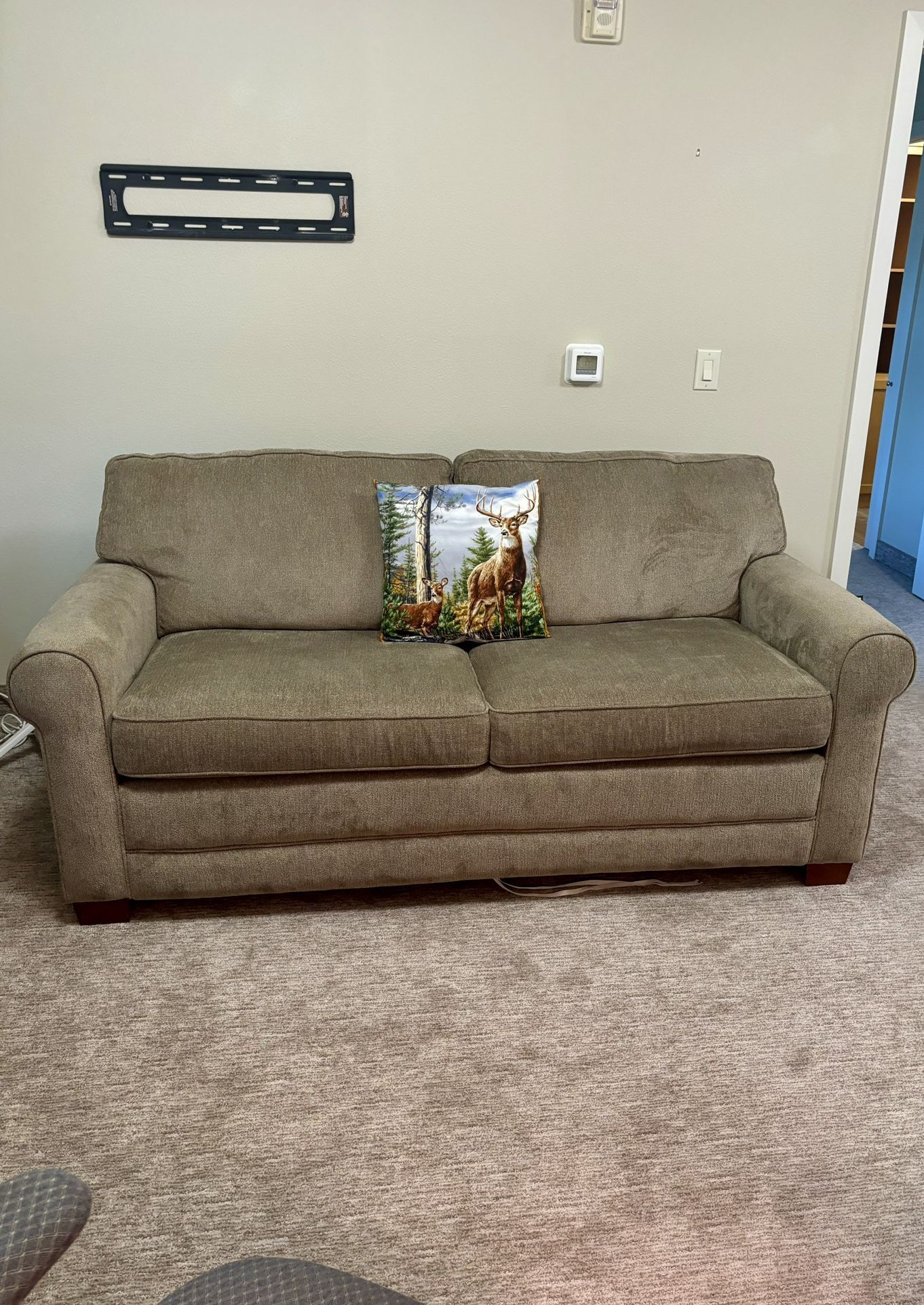 Sleeper Sofa In Mint Condition!