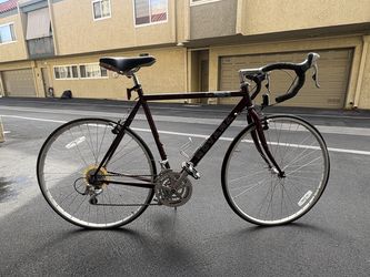 Novara Randonee — Mid-90s Steel Touring Bike