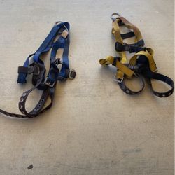 Harness 