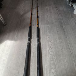 2 Tiger Stik Fishing Rods