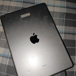 7th Gen Ipad