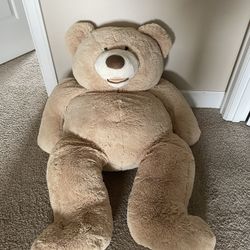 Extra Large Teddy Bear
