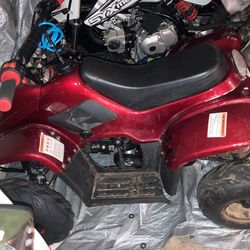 2006 Ice bare Ice bare