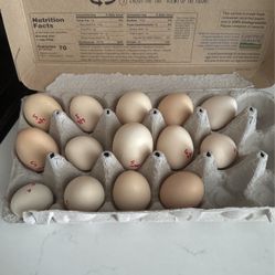 Silkie Eggs 