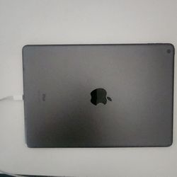 Apple Tablet Grey 