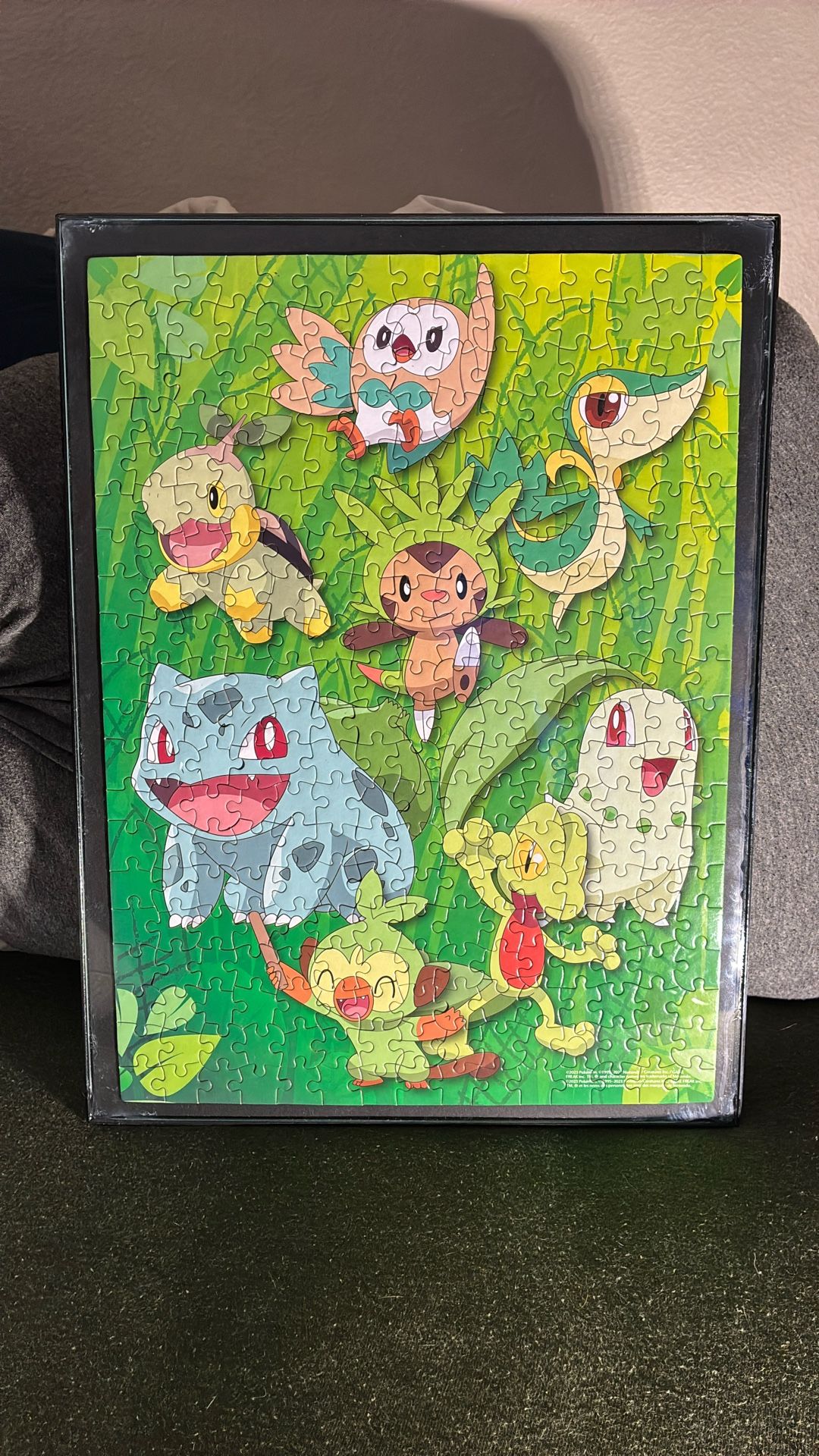 Pokémon Puzzle Frame Grass - Type (12in x 16in)