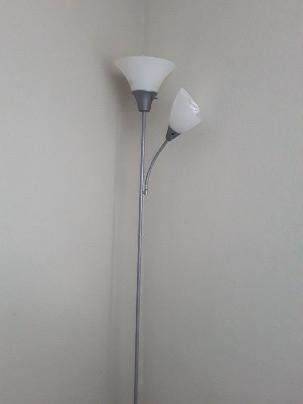 Floor Lamps 