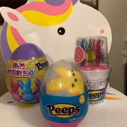 Peeps Mystery Egg, Peeps & Socks Kids Size 7 - 10 & Suncatchet Planner (3) 