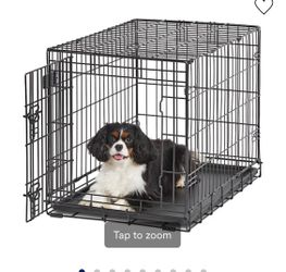 Dog Kennel