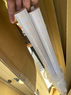 LED Lights