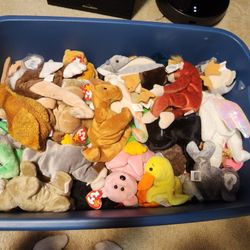 Beanie Babies