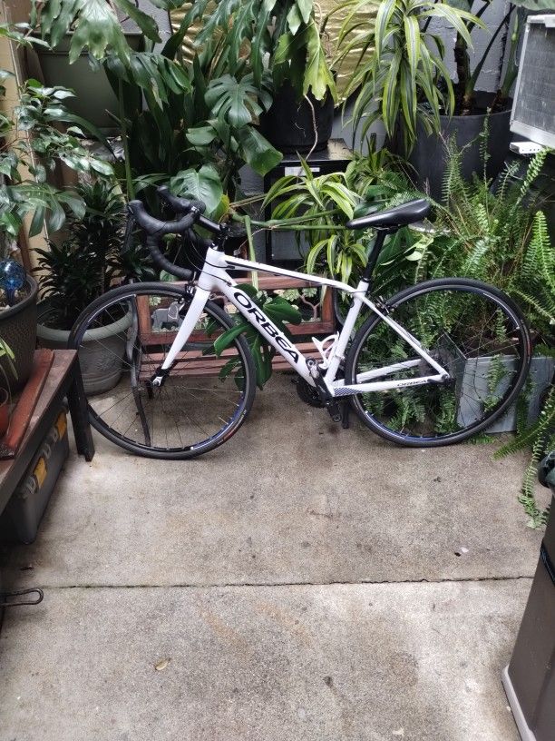 Orbea Terra Road bike