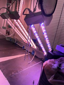 Plant grow lights