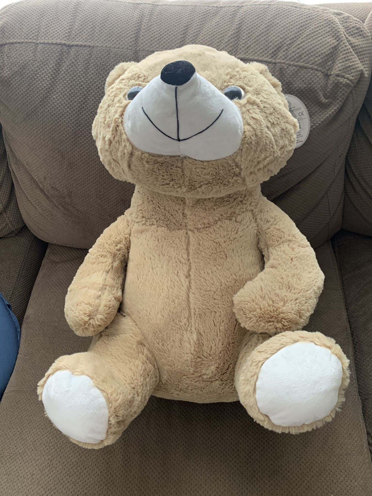 Teddy  bear 20"   