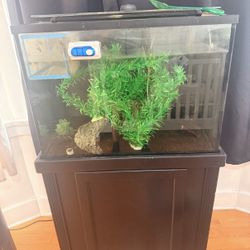 Fish Tank With Stand 