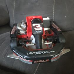 DALE EARNHARDT SR Team Edge RC Car
