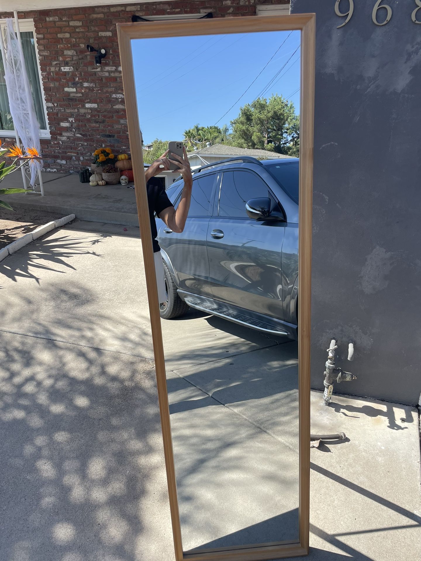 Full Length Mirror | Like New! |