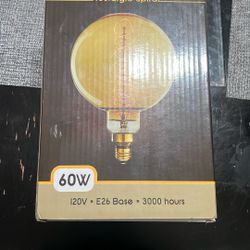 Edison Bulb